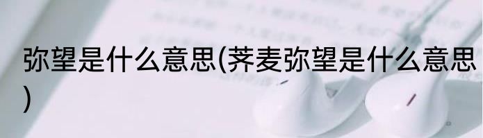 弥望是什么意思(荠麦弥望是什么意思)