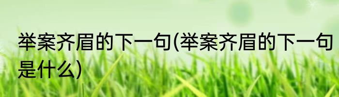 举案齐眉的下一句(举案齐眉的下一句是什么)