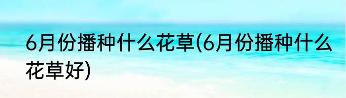 6月份播种什么花草(6月份播种什么花草好)