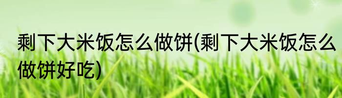 剩下大米饭怎么做饼(剩下大米饭怎么做饼好吃)