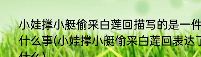 小娃撑小艇偷采白莲回描写的是一件什么事(小娃撑小艇偷采白莲回表达了什么)