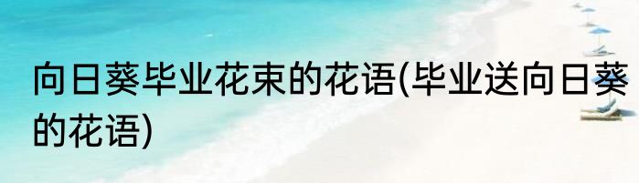 向日葵毕业花束的花语(毕业送向日葵的花语)