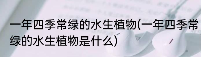 一年四季常绿的水生植物(一年四季常绿的水生植物是什么)