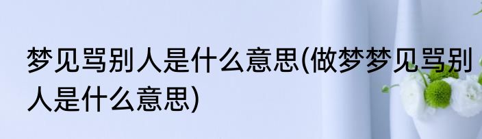梦见骂别人是什么意思(做梦梦见骂别人是什么意思)