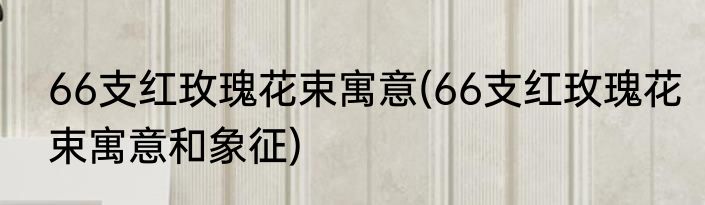 66支红玫瑰花束寓意(66支红玫瑰花束寓意和象征)