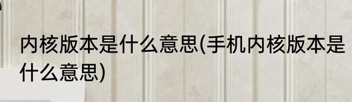 内核版本是什么意思(手机内核版本是什么意思)