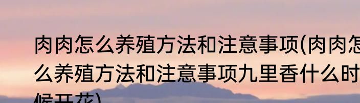 肉肉怎么养殖方法和注意事项(肉肉怎么养殖方法和注意事项九里香什么时候开花)