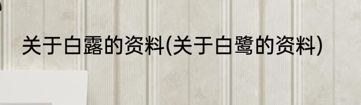 关于白露的资料(关于白鹭的资料)