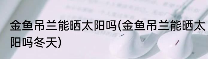 金鱼吊兰能晒太阳吗(金鱼吊兰能晒太阳吗冬天)