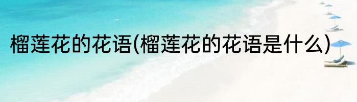 榴莲花的花语(榴莲花的花语是什么)