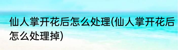 仙人掌开花后怎么处理(仙人掌开花后怎么处理掉)