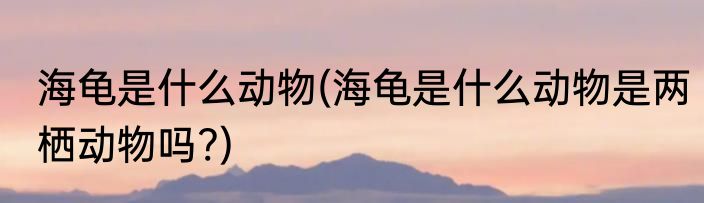 海龟是什么动物(海龟是什么动物是两栖动物吗?)