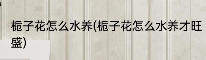 栀子花怎么水养(栀子花怎么水养才旺盛)