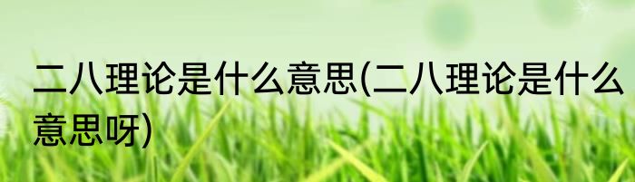 二八理论是什么意思(二八理论是什么意思呀)