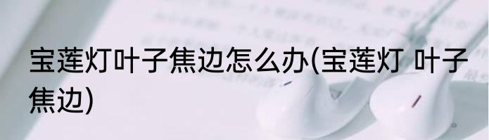 宝莲灯叶子焦边怎么办(宝莲灯 叶子 焦边)