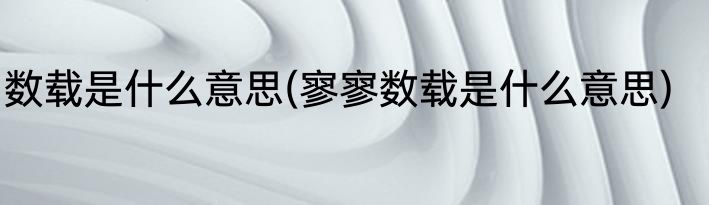 数载是什么意思(寥寥数载是什么意思)