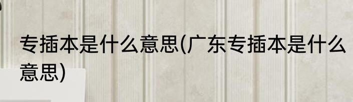 专插本是什么意思(广东专插本是什么意思)