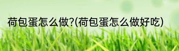 荷包蛋怎么做?(荷包蛋怎么做好吃)