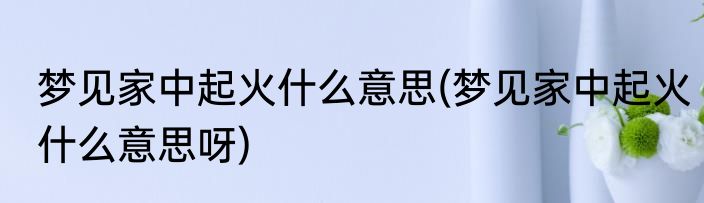 梦见家中起火什么意思(梦见家中起火什么意思呀)
