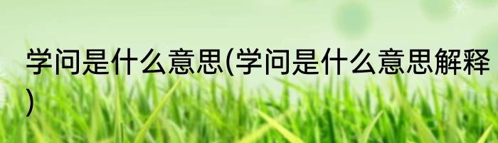 学问是什么意思(学问是什么意思解释)