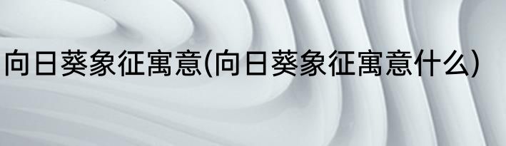 向日葵象征寓意(向日葵象征寓意什么)