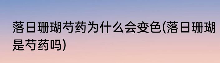 落日珊瑚芍药为什么会变色(落日珊瑚是芍药吗)