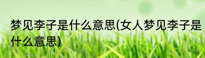 梦见李子是什么意思(女人梦见李子是什么意思)