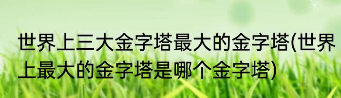世界上三大金字塔最大的金字塔(世界上最大的金字塔是哪个金字塔)