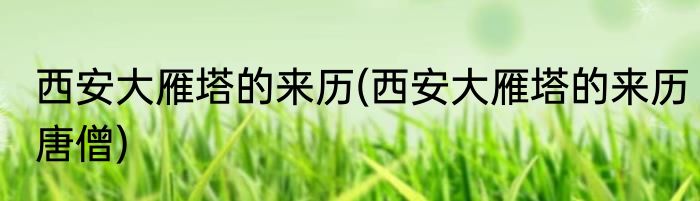 庞贝古城是哪个国家的(庞贝古城是哪个国家的首都)