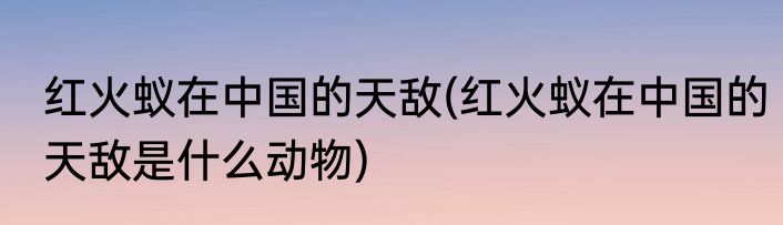 红火蚁在中国的天敌(红火蚁在中国的天敌是什么动物)