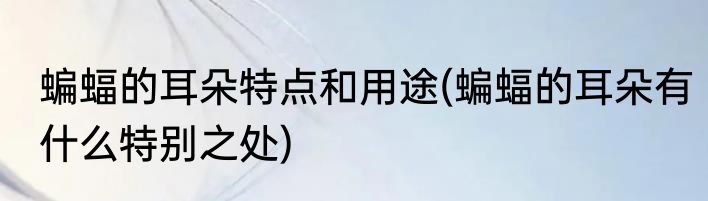 蝙蝠的耳朵特点和用途(蝙蝠的耳朵有什么特别之处)