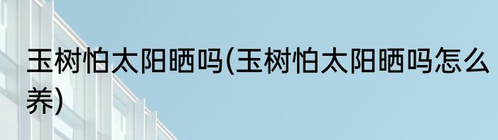 玉树怕太阳晒吗(玉树怕太阳晒吗怎么养)