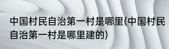 中国村民自治第一村是哪里(中国村民自治第一村是哪里建的)