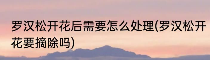 罗汉松开花后需要怎么处理(罗汉松开花要摘除吗)