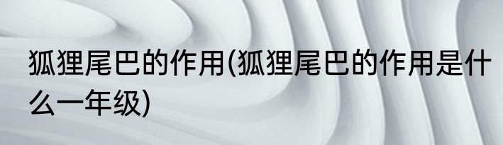 狐狸尾巴的作用(狐狸尾巴的作用是什么一年级)