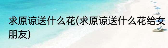 求原谅送什么花(求原谅送什么花给女朋友)