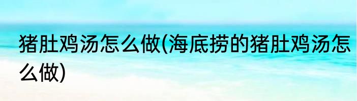 猪肚鸡汤怎么做(海底捞的猪肚鸡汤怎么做)