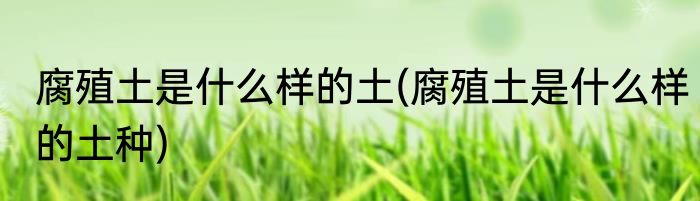 腐殖土是什么样的土(腐殖土是什么样的土种)
