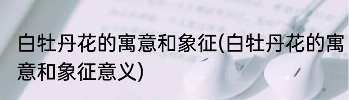 白牡丹花的寓意和象征(白牡丹花的寓意和象征意义)