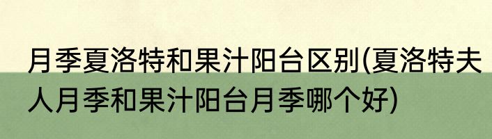 月季夏洛特和果汁阳台区别(夏洛特夫人月季和果汁阳台月季哪个好)