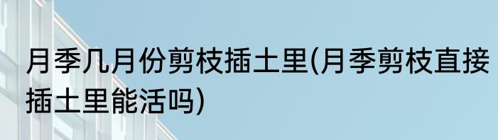 月季几月份剪枝插土里(月季剪枝直接插土里能活吗)