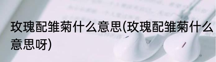 玫瑰配雏菊什么意思(玫瑰配雏菊什么意思呀)