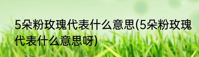 5朵粉玫瑰代表什么意思(5朵粉玫瑰代表什么意思呀)