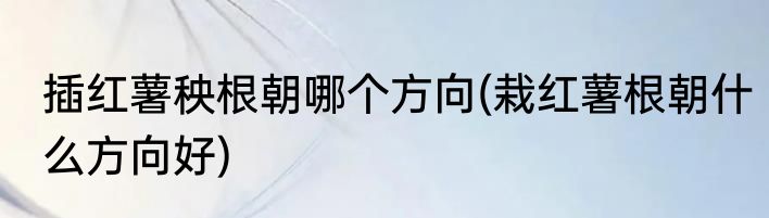 插红薯秧根朝哪个方向(栽红薯根朝什么方向好)