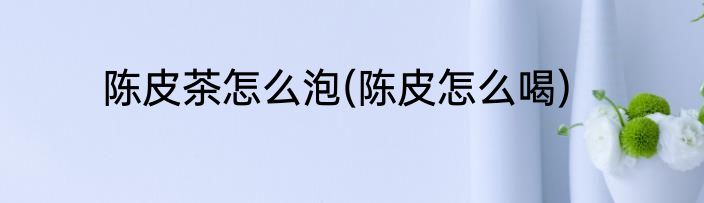 陈皮茶怎么泡(陈皮怎么喝)