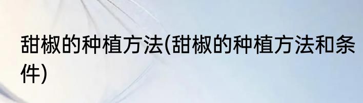 甜椒的种植方法(甜椒的种植方法和条件)