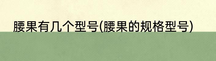 腰果有几个型号(腰果的规格型号)