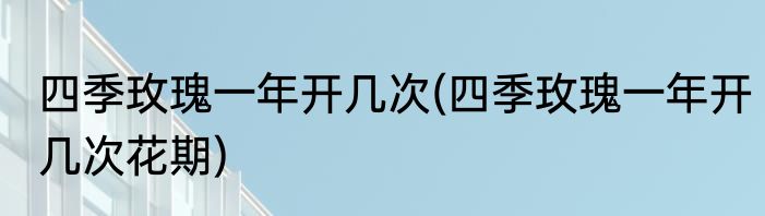 四季玫瑰一年开几次(四季玫瑰一年开几次花期)