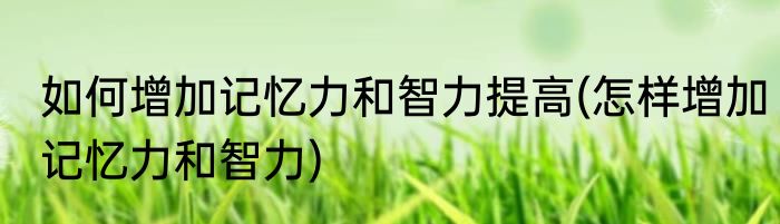 如何增加记忆力和智力提高(怎样增加记忆力和智力)