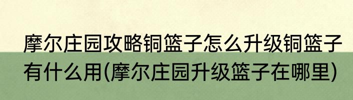 摩尔庄园攻略铜篮子怎么升级铜篮子有什么用(摩尔庄园升级篮子在哪里)